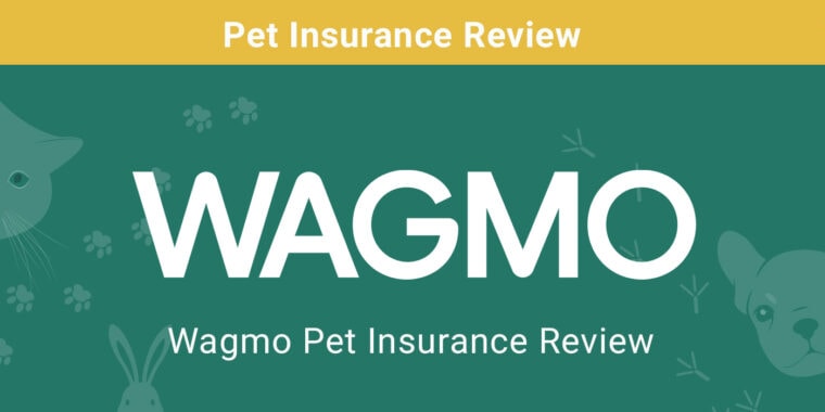 wagmo-review-featured-image-pk