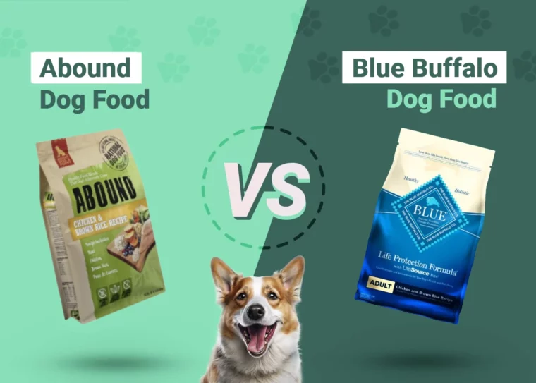 Abound vs Blue Buffalo Dog Food - Featured Image