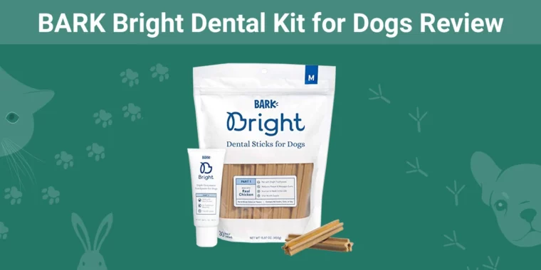 BARK Bright Dental Kit for Dogs - Featured Image