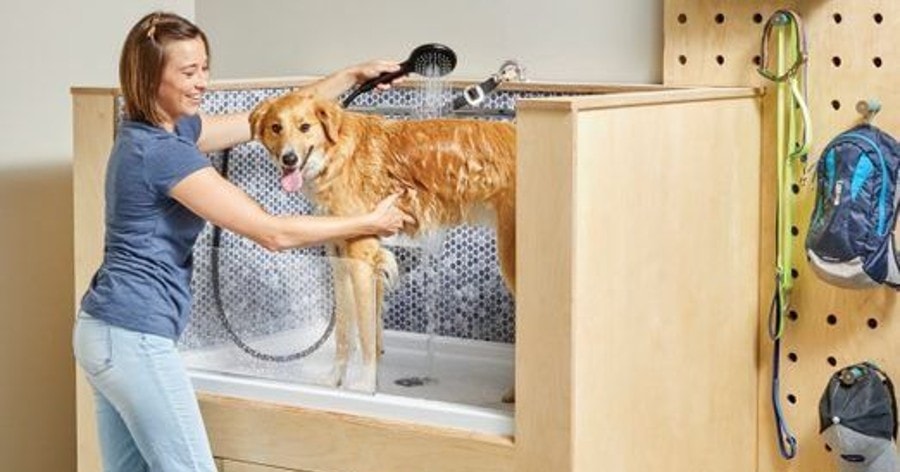 https://petkeen.com/wp-content/uploads/2022/07/DIY-Dog-Wash-Station_Family-Handyman.jpg