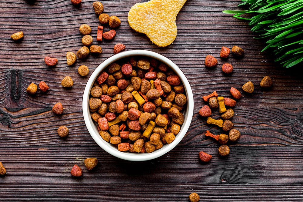 Dog food in a bowl_279photoStudio_Shutterstock
