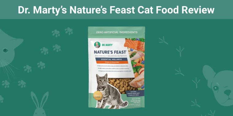 Dr. Marty’s Nature’s Feast Cat Food - Featured Image