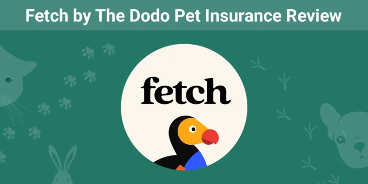 Fetch by The Dodo Pet Insurance - Featured Image