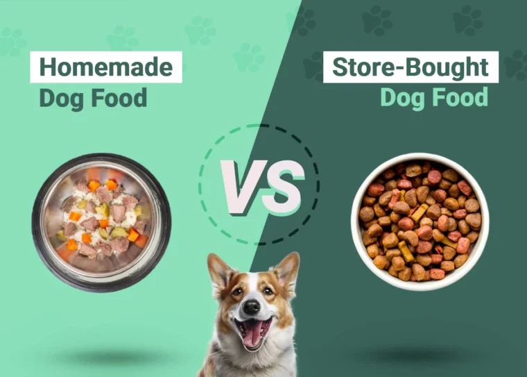 Homemade vs Store-Bought Dog Food - Featured Image