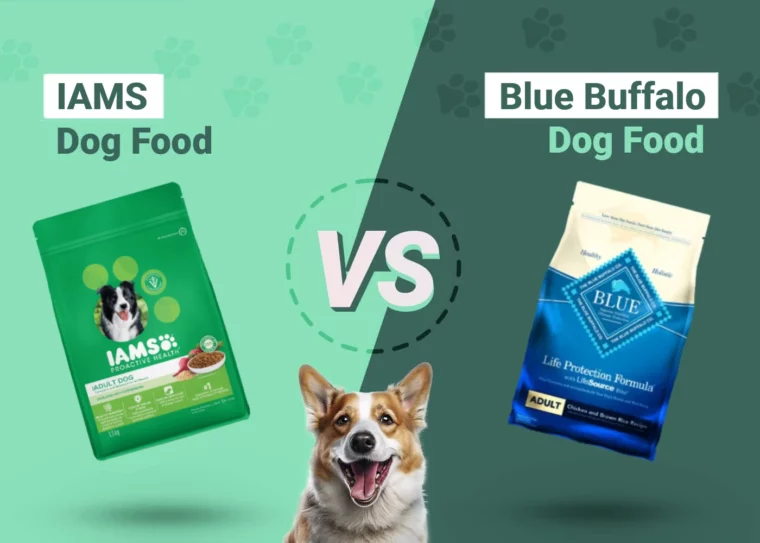 IAMS vs Blue Buffalo Dog Food - Featured Image