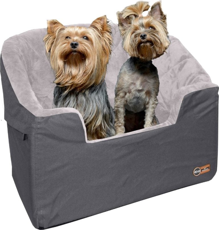 16 Essential Yorkshire Terrier Supplies to Get You Started 2023 Guide