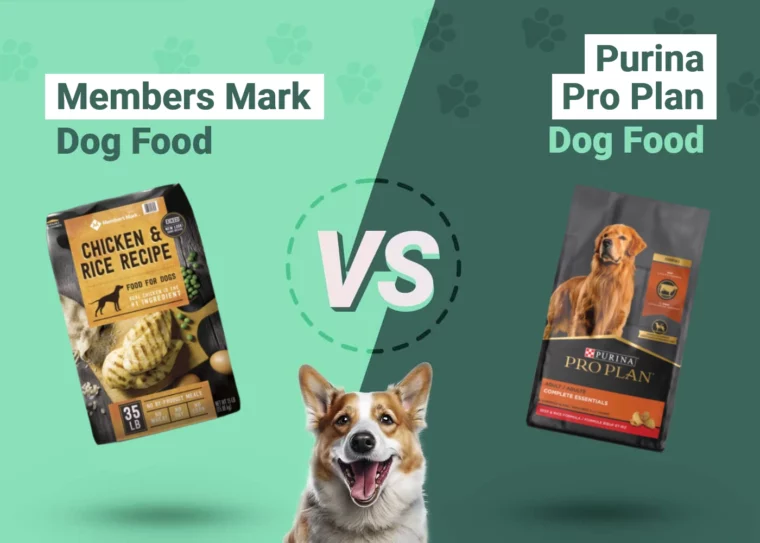 Members Mark vs Purina Pro Plan Dog Food - Featured Image