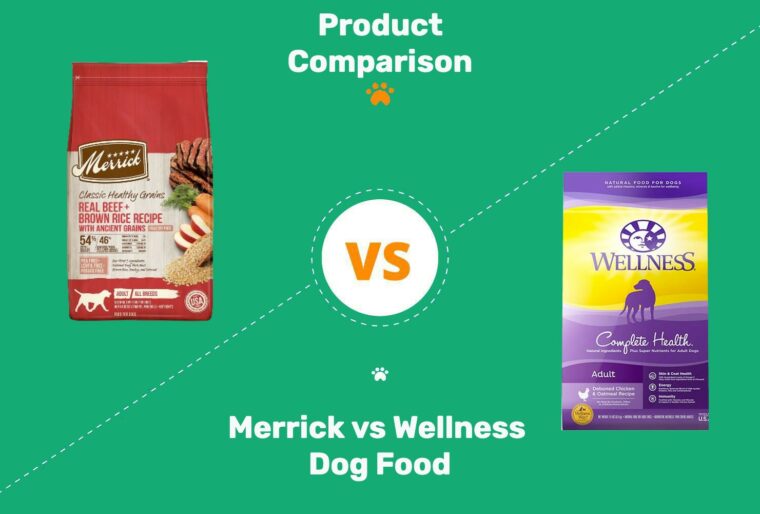 Comida para perros Merrick vs Wellness