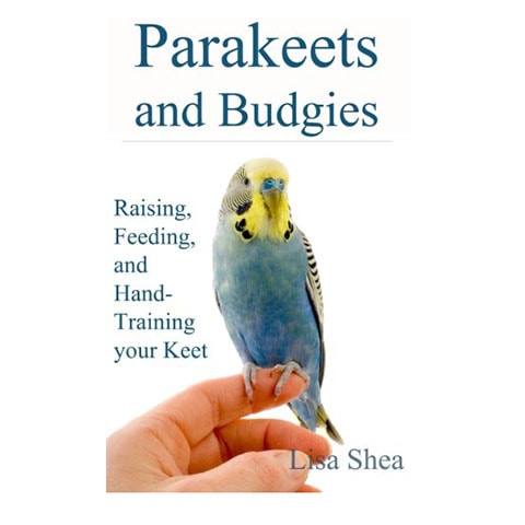 Parakeets and Budgies — Raising, Feeding, And Hand-Training Your Keet