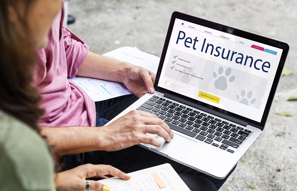 Concepto de garantía de atención de seguro de mascotas