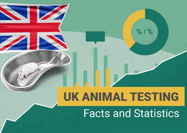 Animal Testing Statistics UK