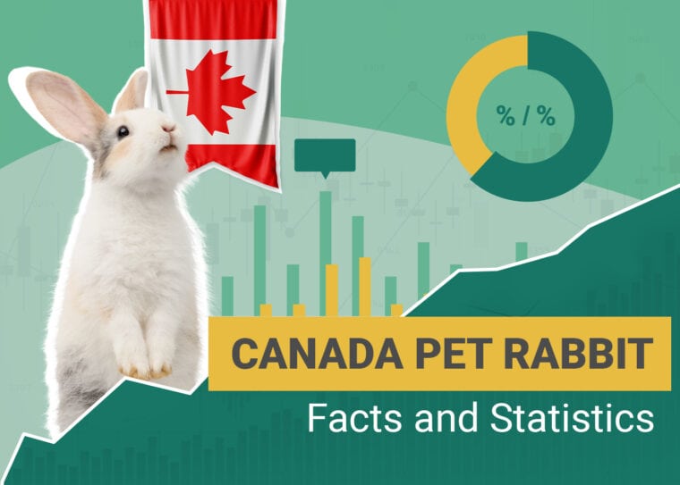 Pet Rabbit Statistics Canada