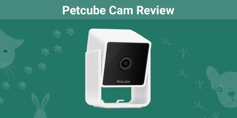 Petcube Cam - Featured Image