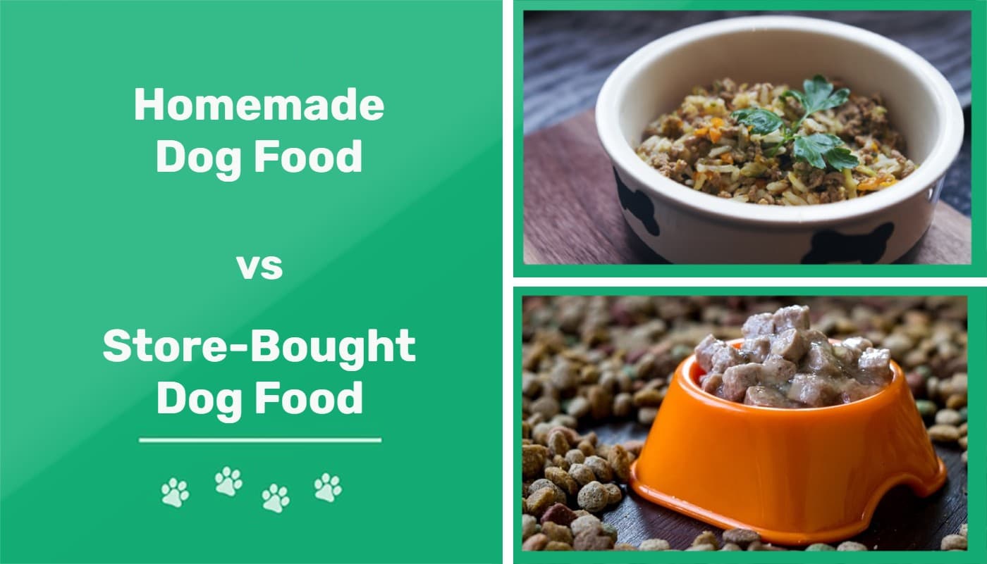 Homemade Dog Food vs Store-Bought: Pros & Cons | Pet Keen