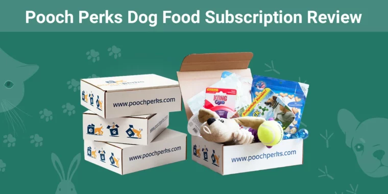 Pooch Perks Dog Food Subscription - Featured Image
