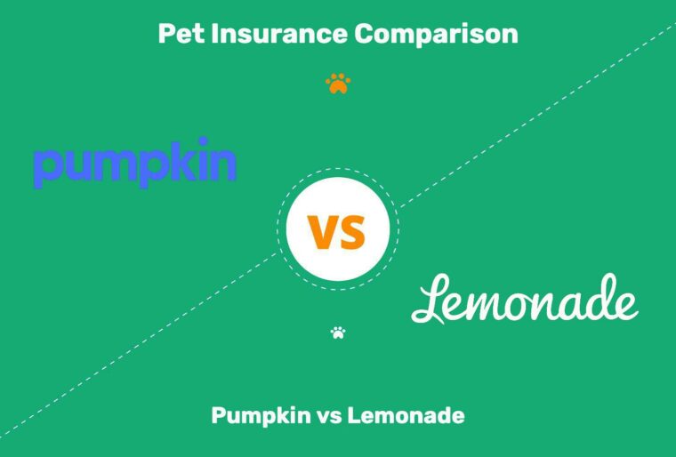 Pumpkin vs Lemonade Pet Insurance