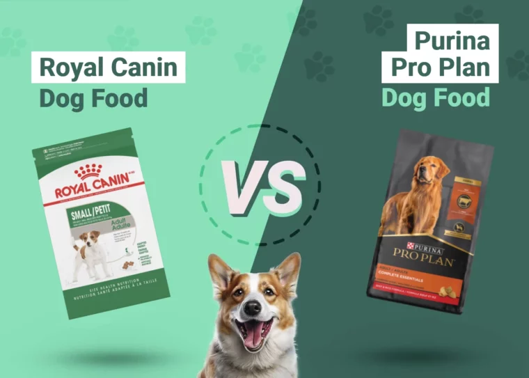 Royal Canin vs Purina Pro Plan Dog Food - Featured Image