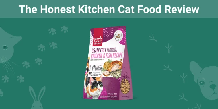 The Honest Kitchen Cat Food - Featured Image