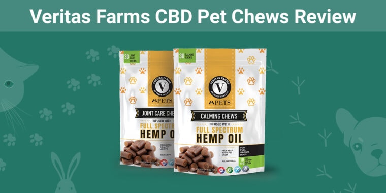 Veritas Farms CBD Pet Chews - Featured Image