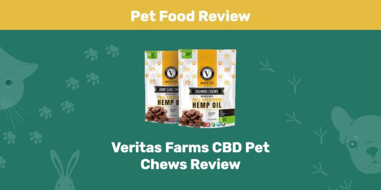 Veritas Farms CBD Pet Chews Review Featured Image