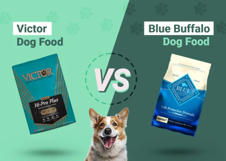 Victor vs Blue Buffalo Dog Food - Featured Image