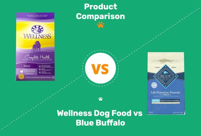 Wellness Dog food vs Blue Buffalo