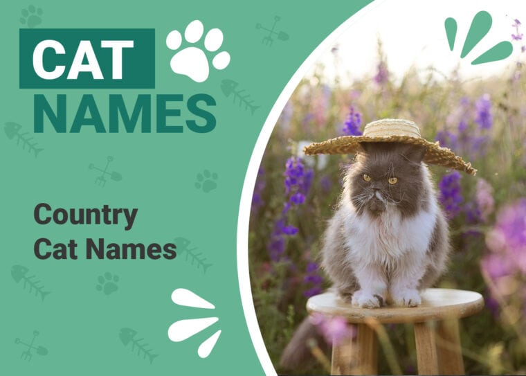 Country Cat Names