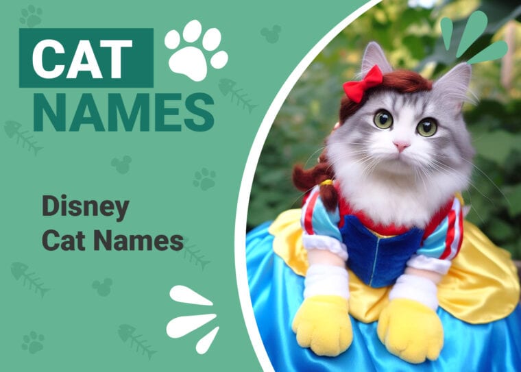 Disney Cat Names