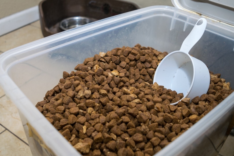 dog food in plastic container