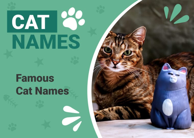Famous Cat Names
