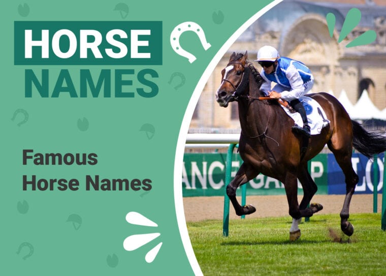 Famous Horse Names