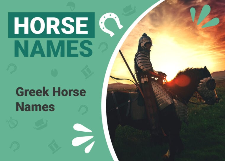 Greek Horse Names