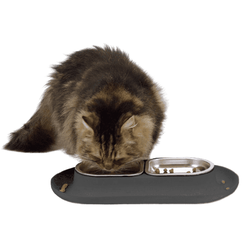 The Halo Elevated Cat Bowl  Catenary: Minimalist cat furniture for modern  households – Catenary Home