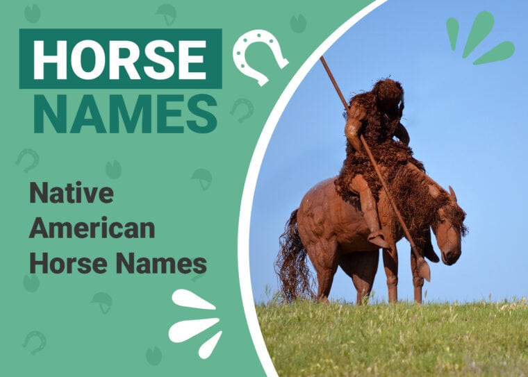 Native American Horse Names