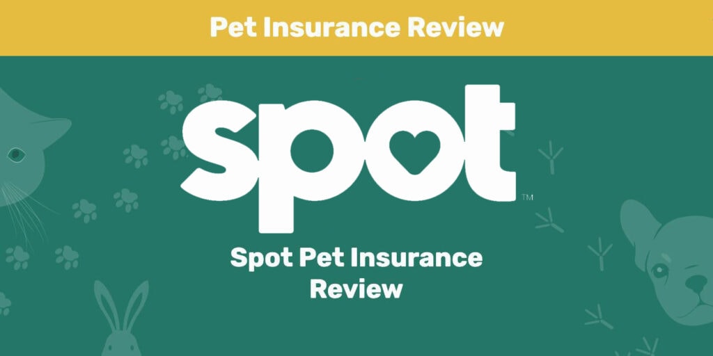 Spot Pet Insurance Review 2024 Pros, Cons & Verdict Pet Keen