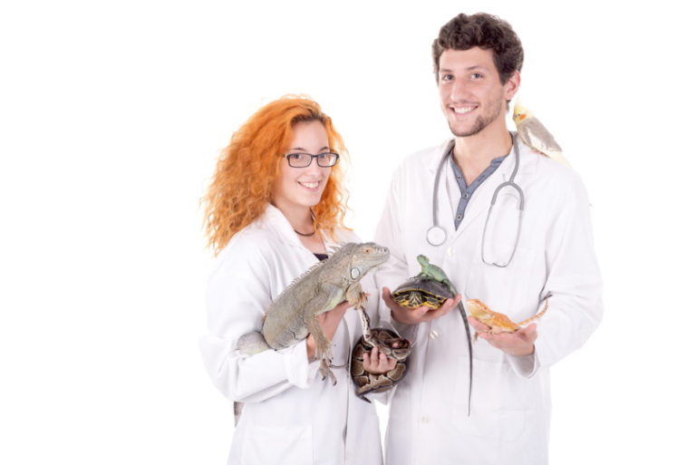 Veterinarians Posing With Wild Exotic Animals Veronica Louro Shutterstock 768x513 