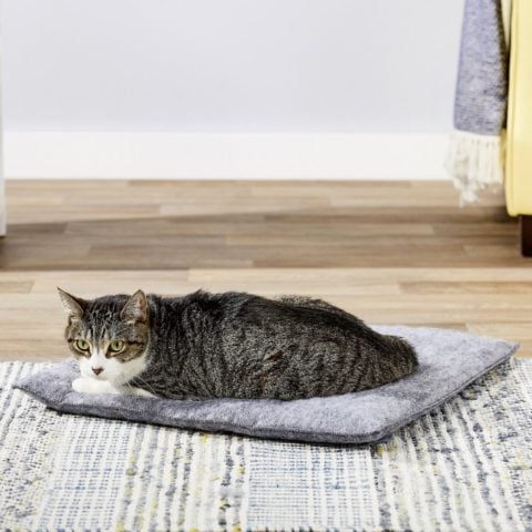 KT Manufacturing Purr Padd Cat Bed Mat