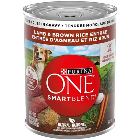 Purina ONE SmartBlend Tender Cuts in Gravy Wet Dog Food - 13oz
