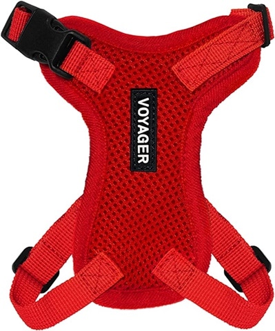 Voyager Step-in Lock Cat Harness