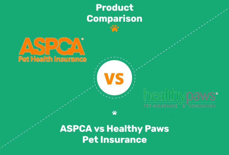 Gráfico de imagen destacada de ASPCA vs Healthy Paws