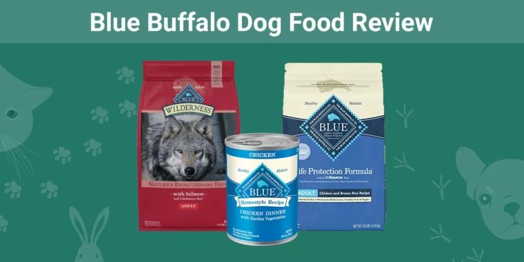 Blue Buffalo Dog Food - Featured Image