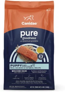 CANIDAE PURE With Wholesome Grains Real Salmon & Oatmeal Recipe Puppy Dry Dog Food