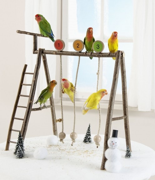 15 Diy Bird Toy Plans You Can Make
