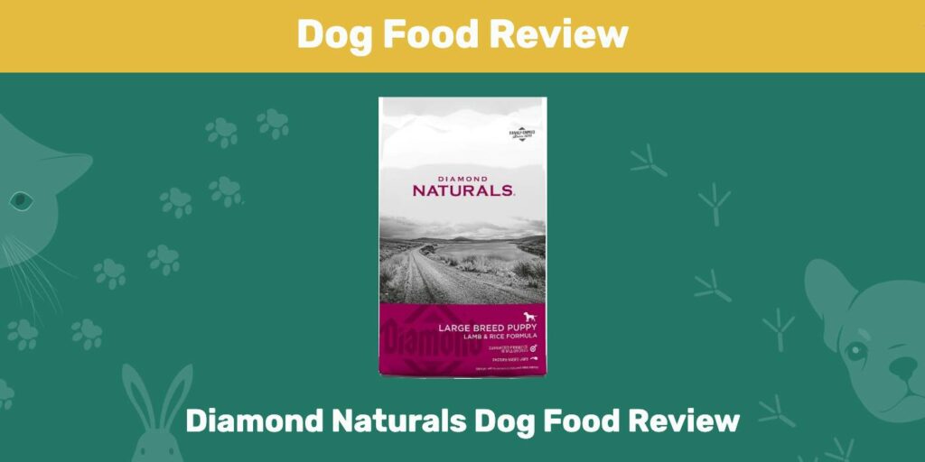 Diamond Naturals Dog Food Review 2022 Pros, Cons, Recalls & FAQ Pet Keen