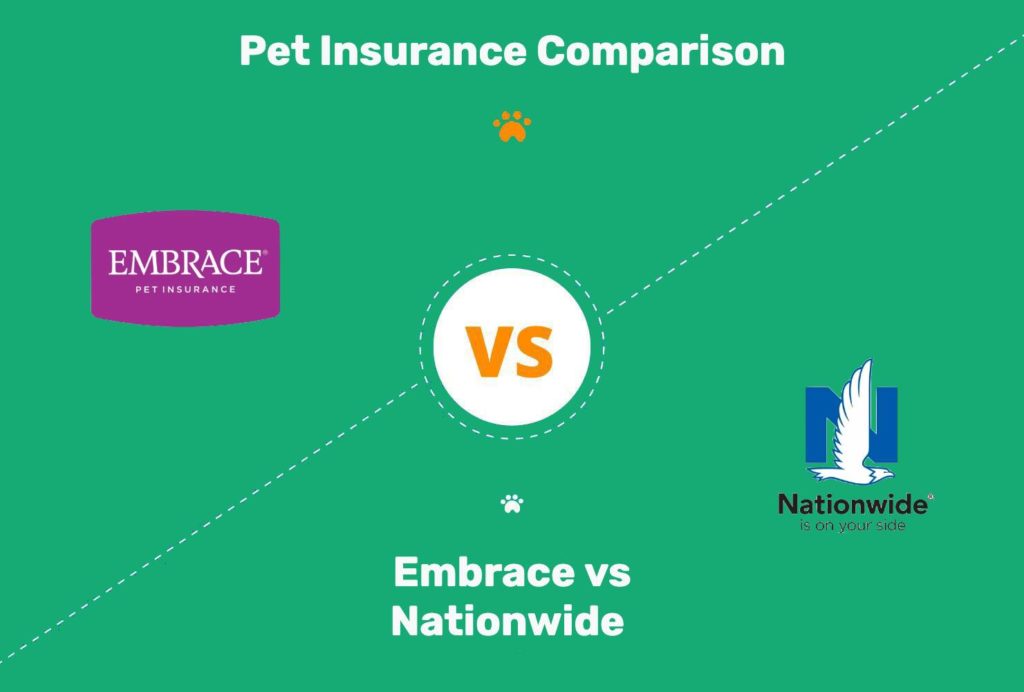 Embrace Vs Nationwide Pet Insurance 2022 PK FI 1024x692 