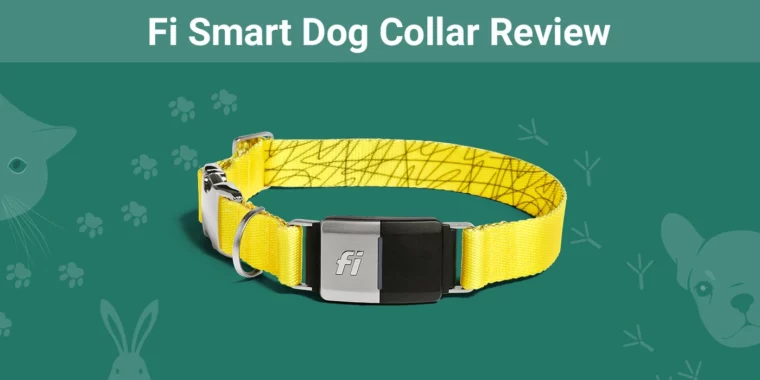 Fi Smart Dog Collar - Featured Image