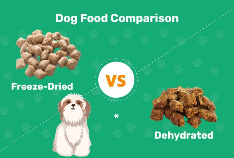 Freeze-Dried vs Dehydrated Dog Food 2023 Comparison: Pros & Cons | Pet Keen