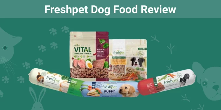 Freshpet Dog Food - Featured Image