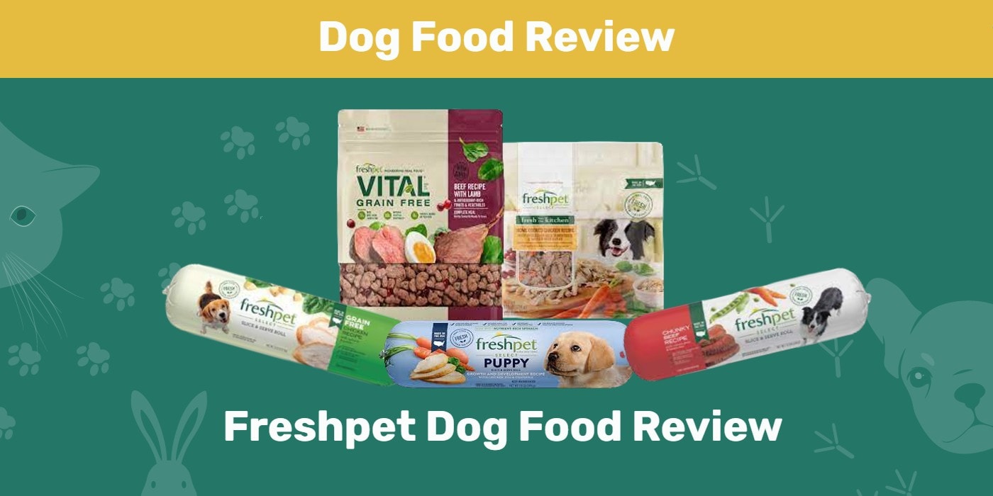 Freshpet dog food Review