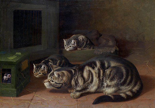 Horatio Henry Couldery Curiosity_Wikimedia Commons